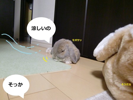 暑いかな4