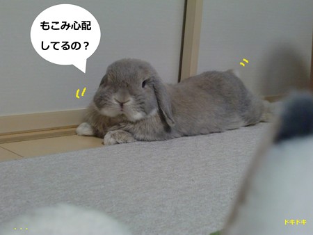 仲直り2