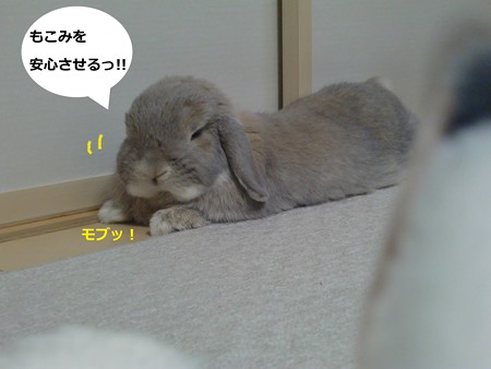 仲直り3