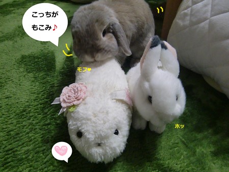 仲直り4