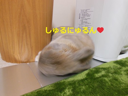 あ4
