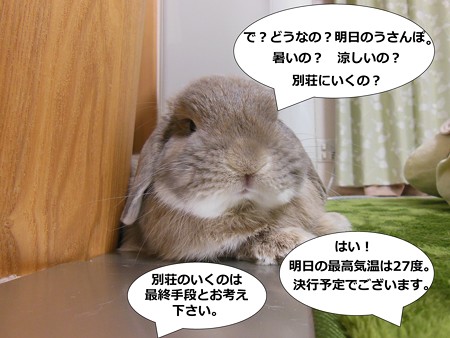 あ6