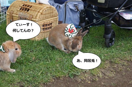 あ5