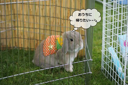 あ9