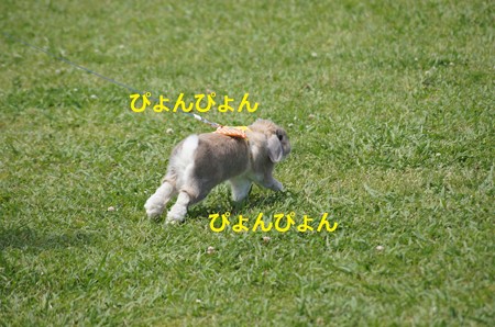う6