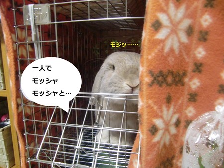 お土産3