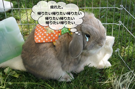 あ1