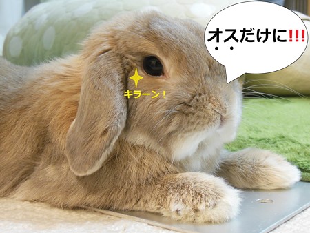 あ5