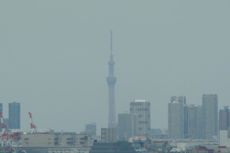 P1090525
