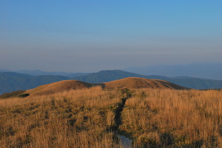 DSC_1020