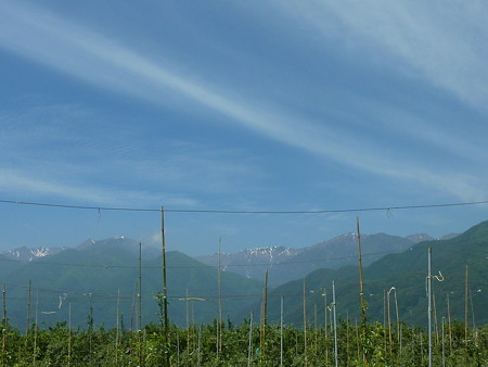 P1120785