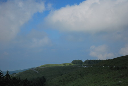 DSC_0150