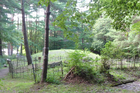 P1130564