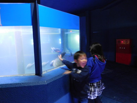 DSCN0362