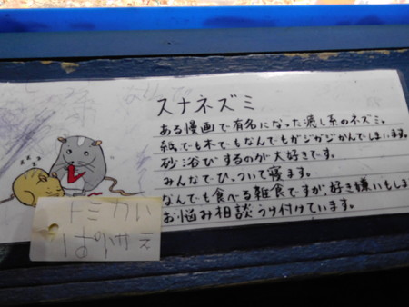 DSCN0365
