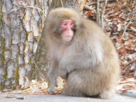 DSCN0507