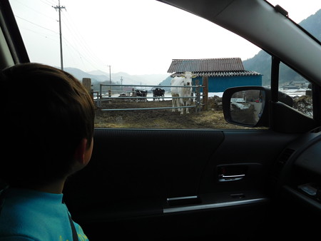 DSCN0864