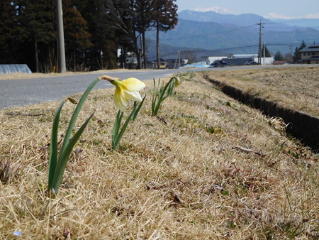 DSCN0877