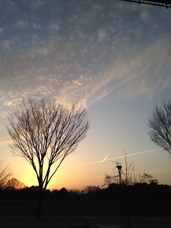 2015-3-17の夕空