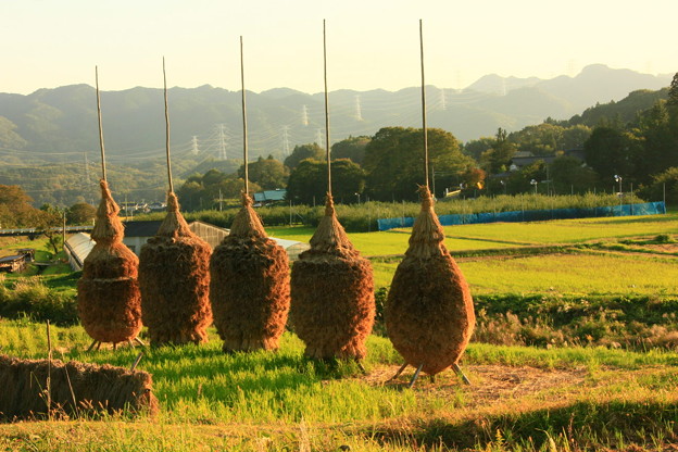 茨城県北芸術祭 435 藁ぼっち 写真共有サイト フォト蔵