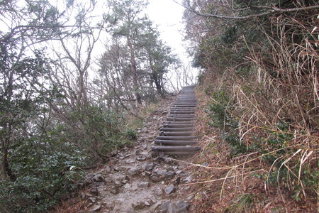 1418tgr149