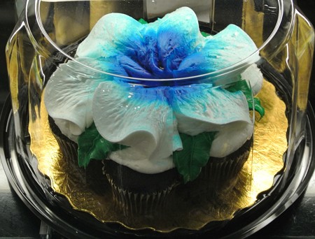 アメリカ の カップケーキ ハワイ 画像 Shionの部屋 楽天ブログ