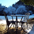 Photos: 雪晴れの朝に