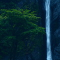 Photos: 見神の滝、樹木を添えて
