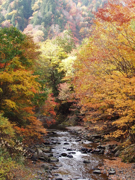 秋の溪谷