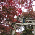 Photos: 鷺森神社