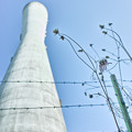 Photos: 給水塔と枯花