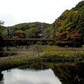 Photos: 泉の森の紅葉は・・・