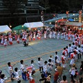 Photos: はんざき祭り総踊り２