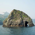 Photos: 象岩の穴吹き抜くや春の風 Elephant Rock