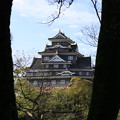 Photos: 新緑の金烏城