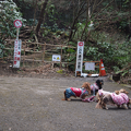 Photos: 鎌倉源氏山へ登る山道