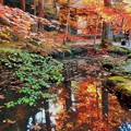 Photos: 崑崗（こんこう）池の秋 in 大本山仏通寺