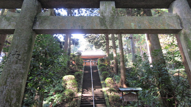 朝夷奈（朝比奈）切通（横浜市金沢区）熊野神社