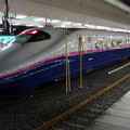 Photos: JR東日本東北新幹線E2系｢なすの267号｣