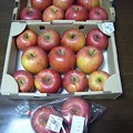 150326-3　長野土産のりんご