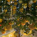 Photos: クリスマスツリー*ﾟ☆彡*　金沢駅